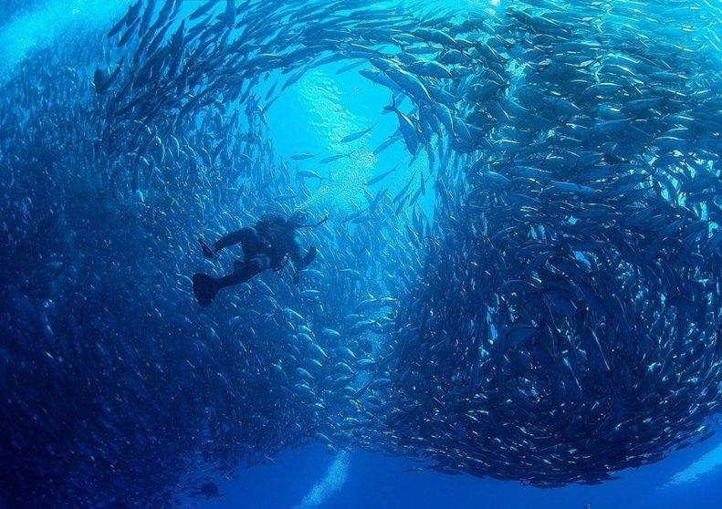 皇冠地下城