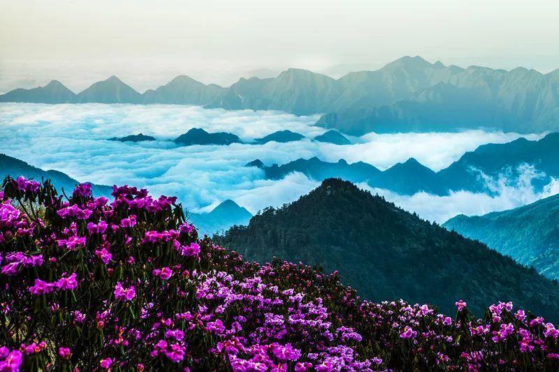 院的笔顺游戏画面